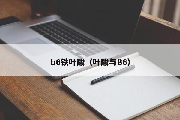 b6铁叶酸（叶酸与B6）